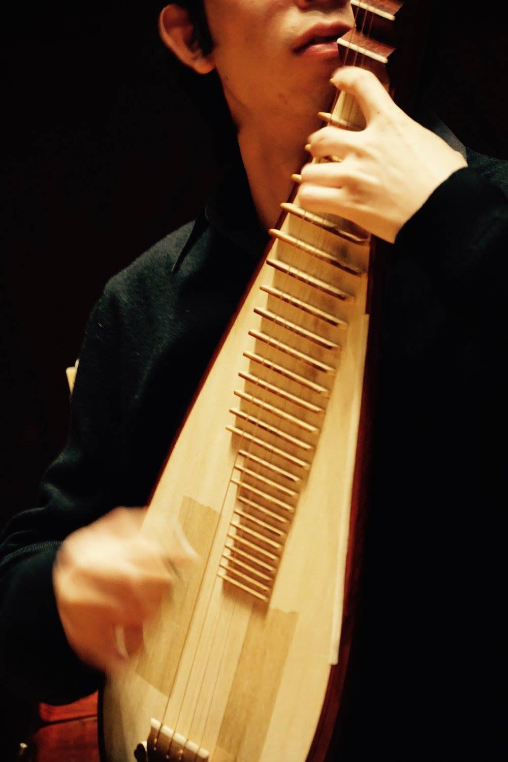 Pipa instrument front view