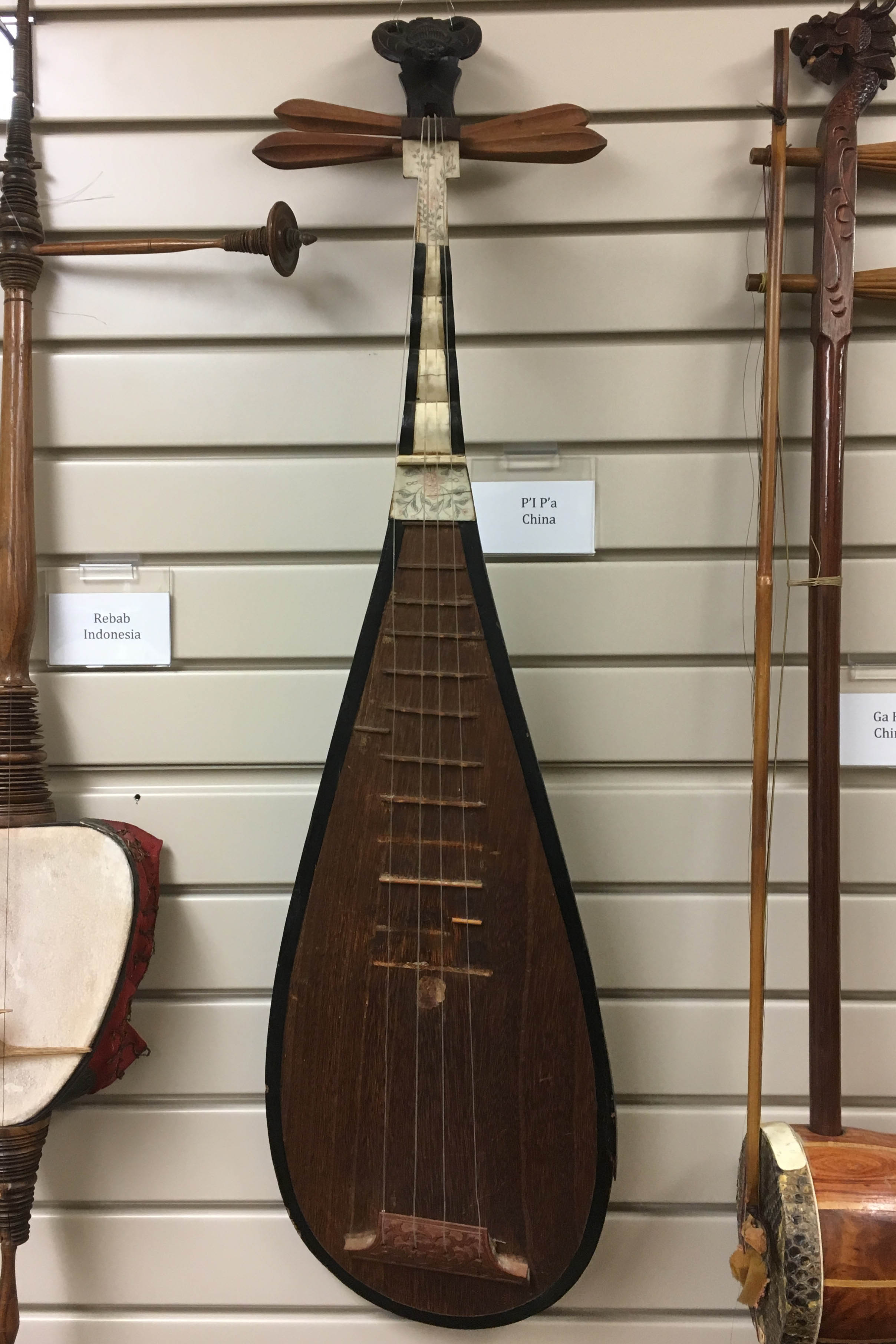 Pipa instrument side view